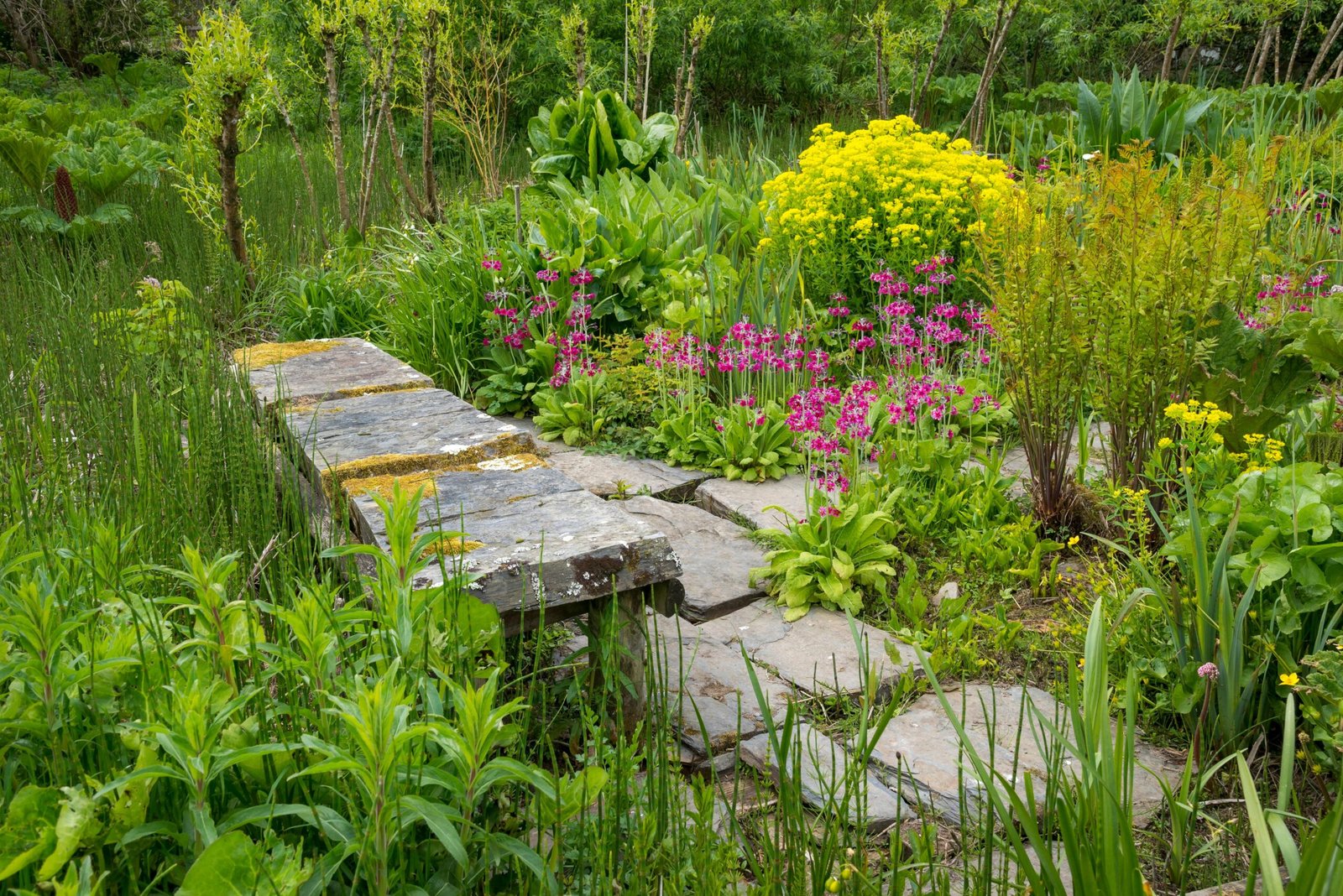 Soil Drainage Solutions for Tropical Gardens