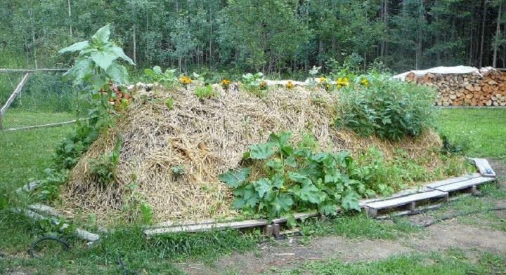 Soil Drainage Solutions for Tropical Gardens (That Actually Work in Heavy Rain)