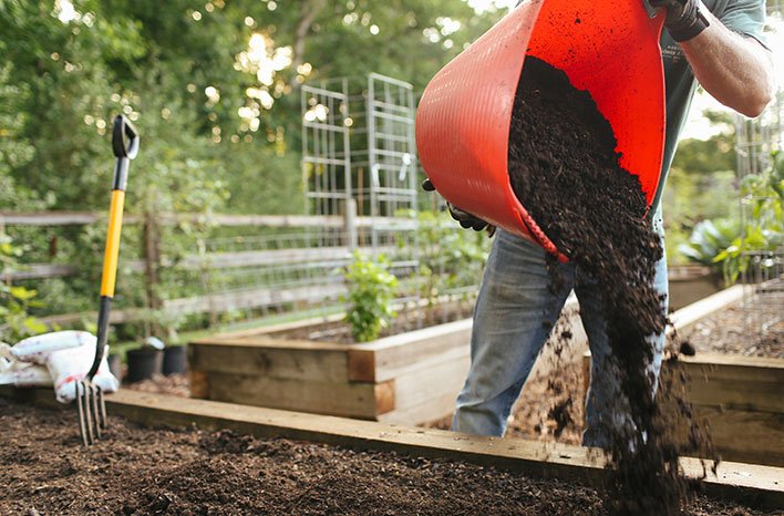 Soil Drainage Solutions for Tropical Gardens (That Actually Work in Heavy Rain)