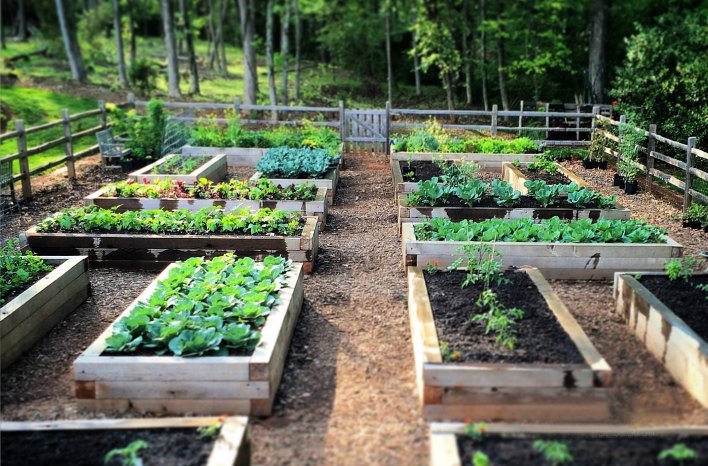 Soil Drainage Solutions for Tropical Gardens (That Actually Work in Heavy Rain)