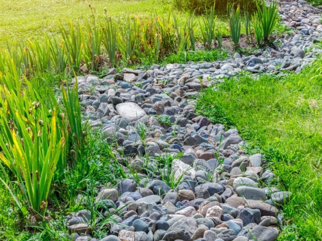 Soil Drainage Solutions for Tropical Gardens (That Actually Work in Heavy Rain)