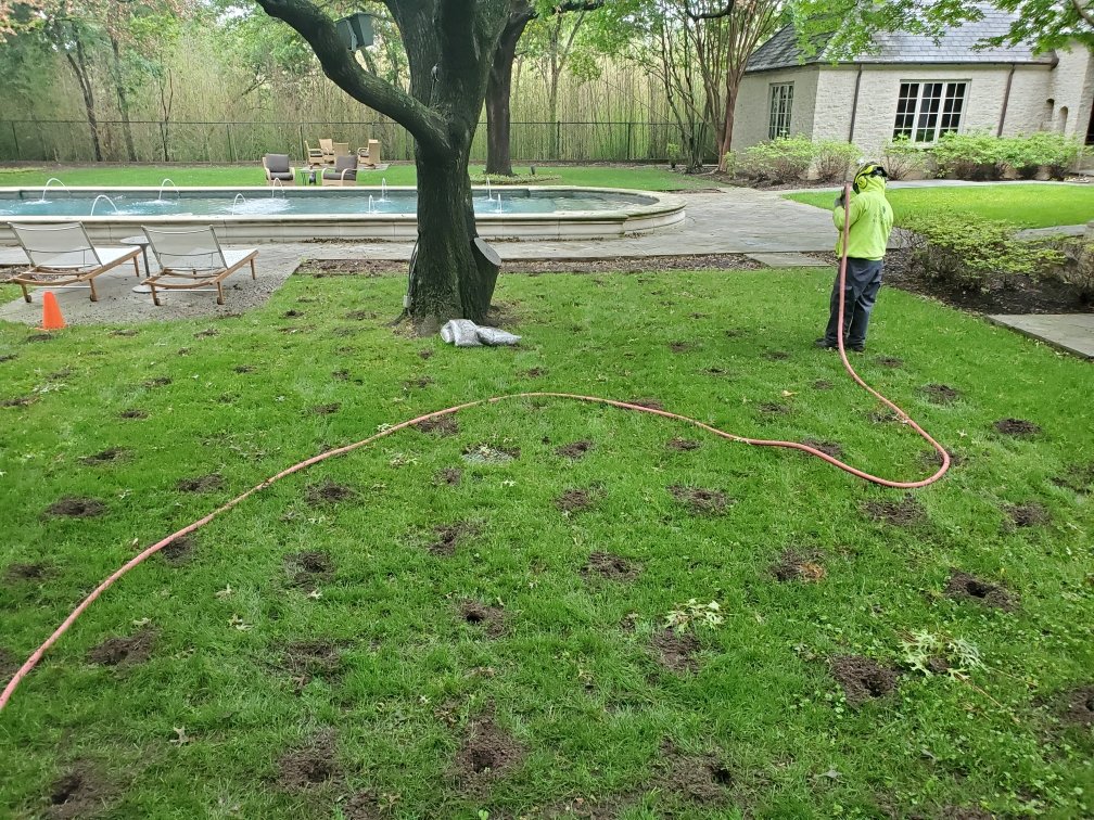 Soil Drainage Solutions for Tropical Gardens (That Actually Work in Heavy Rain)