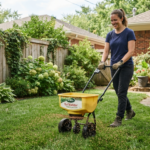 Best Organic Fall Lawn Fertilizers for Heavy Shade