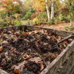 How To Compost Leaves Fast: 4 Secrets To Turn Leaves Into Great Compost This Fall