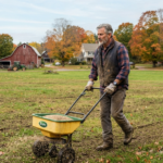 How to Overseed Your Lawn in Early Fall