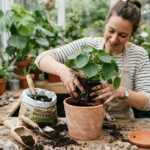 How to Stop Fall Insect Invasions in Houseplants