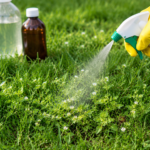 How to Get Rid of Chickweed in Your Lawn Naturally