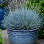 Stunning Light Blue Flowers Perfect for Container Gardening