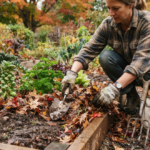 DIY Fall Mulching Guide Protecting Perennial Roots From Early Freezes