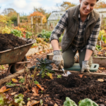 How to Prepare Your Garden Soil in Autumn Using Organic Compost