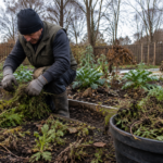 How to Stop Garden Pests From Overwintering