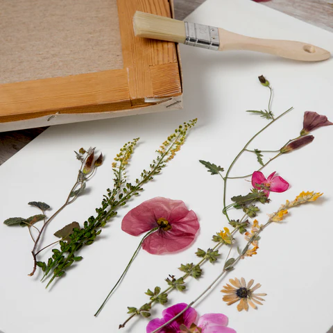 How to Preserve Flowers Naturally: 7 Easy Steps for Dried & Pressed Flowers