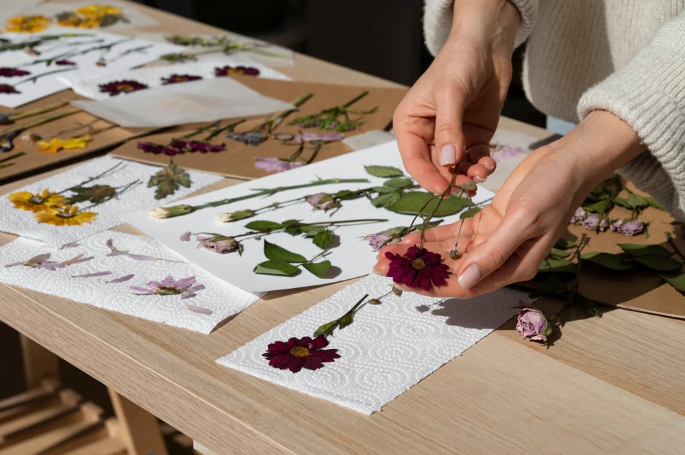How to Preserve Flowers Naturally: 7 Easy Steps for Dried & Pressed Flowers
