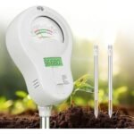 How to Balance Soil pH Safely in Autumn