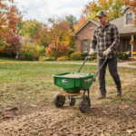 Fall Lawn Overseeding When to Seed, What Seed to Use & Common Mistakes
