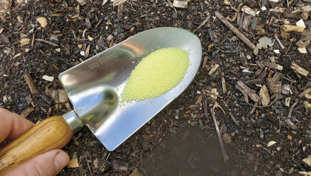 How to Balance Soil pH Safely in Autumn