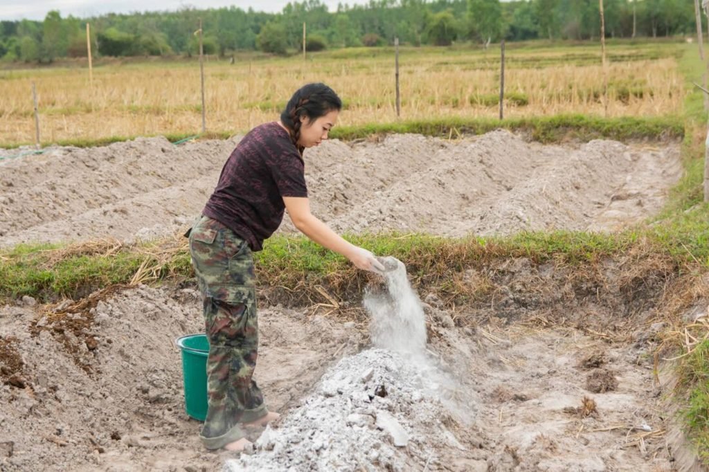 How to Balance Soil pH Safely in Autumn