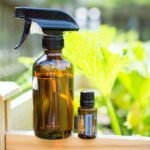 DIY Essential Oil Sprays to Keep Stray Cats and Raccoons Out of Garden Beds