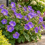 Purple Flowers That Look Incredible in a Garden
