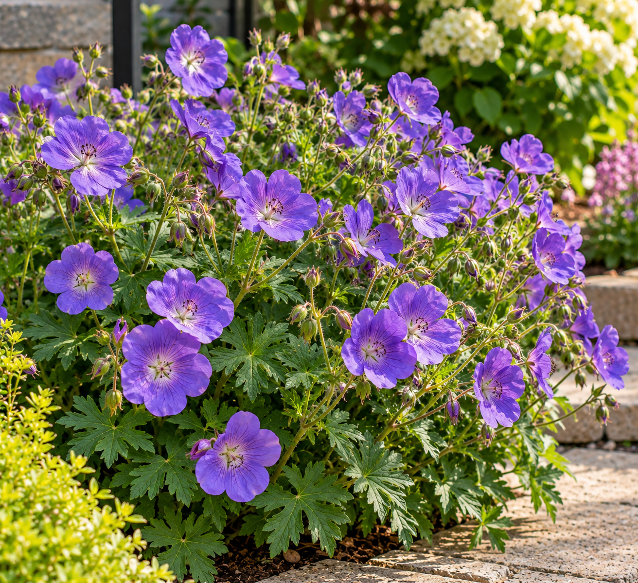 Purple Flowers That Look Incredible in a Garden