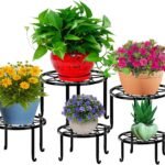 Garden Gifts Under $25 That Plant Lovers Will Actually Use