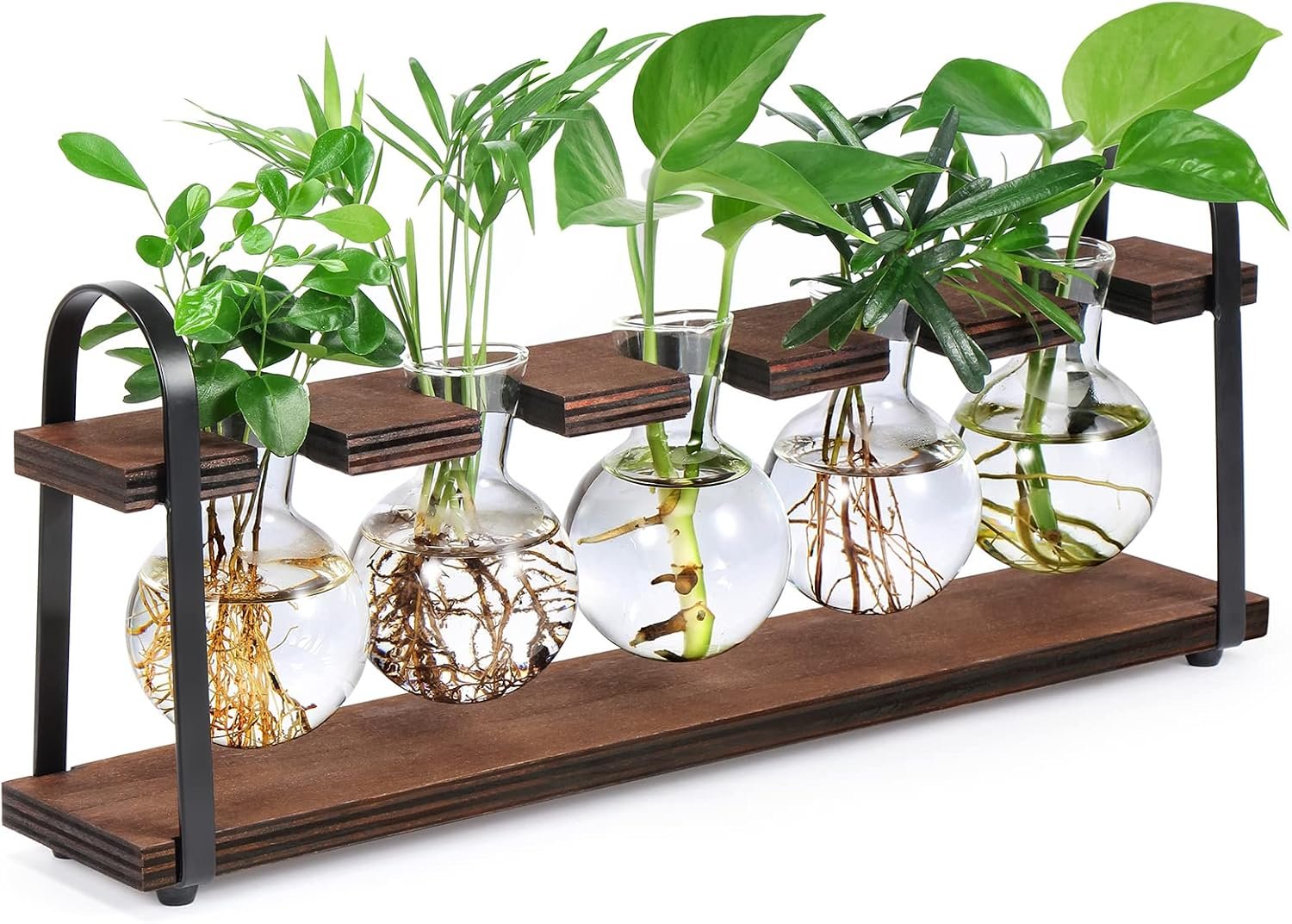 Christmas Gifts for Plant Lovers: Creative Ideas They'll Actually Use