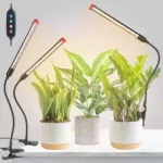 Christmas Gifts for New Gardeners: Practical Ideas to Help Them Get Started