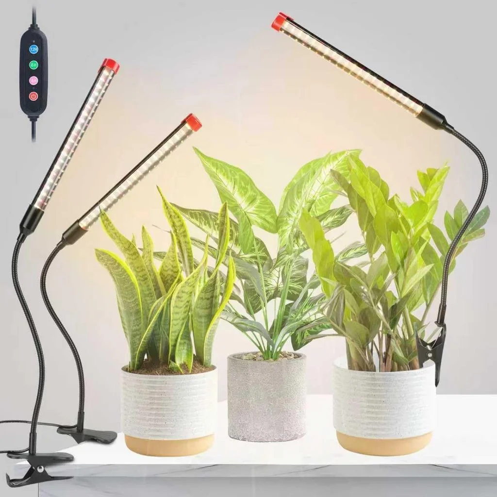 Christmas Gifts for New Gardeners: Practical Ideas to Help Them Get Started