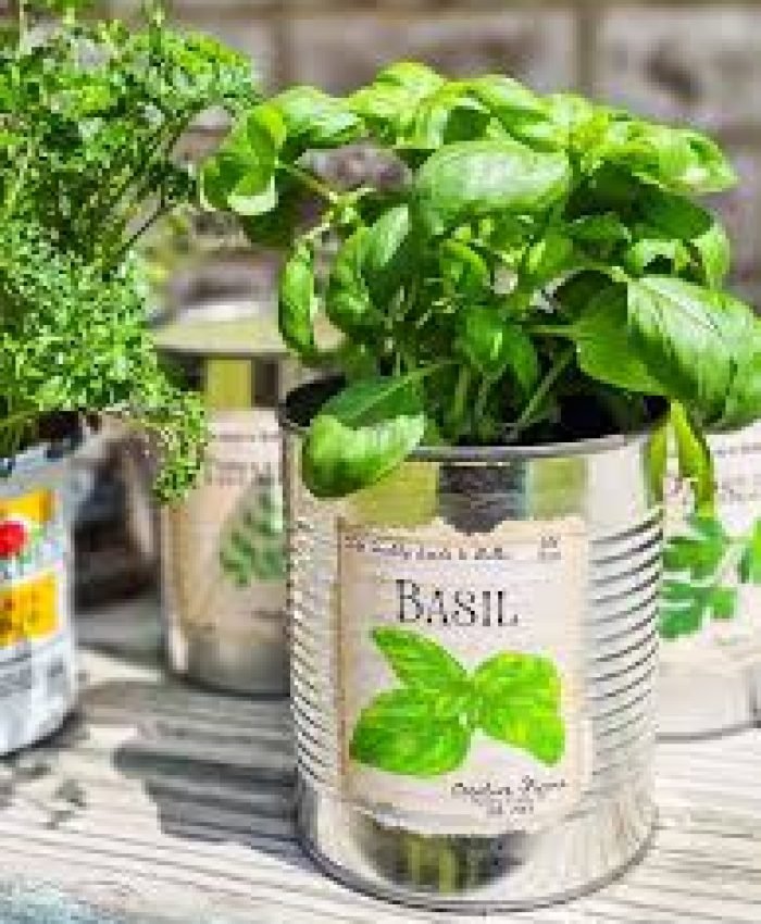 DIY Gift Ideas for Gardeners