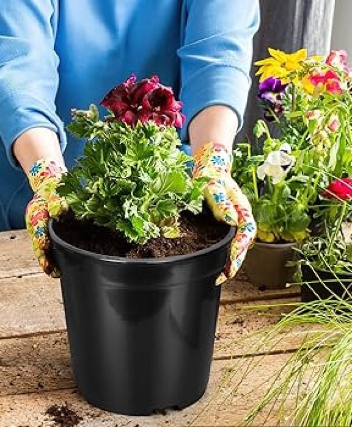 Outdoor Flower Pot Ideas