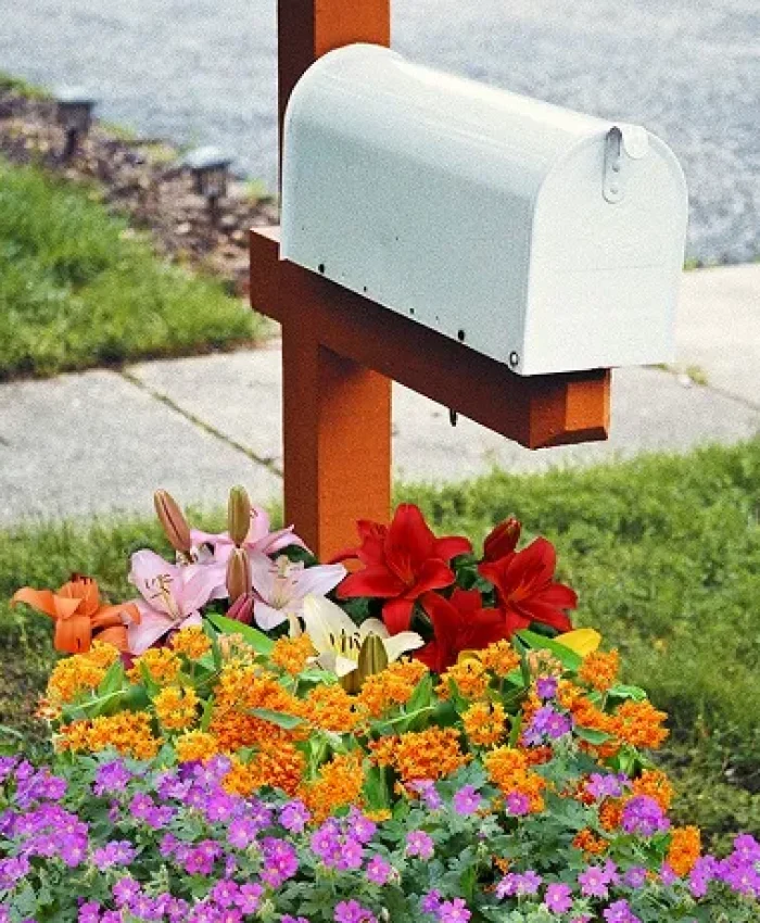 Mailbox Flower Bed Ideas