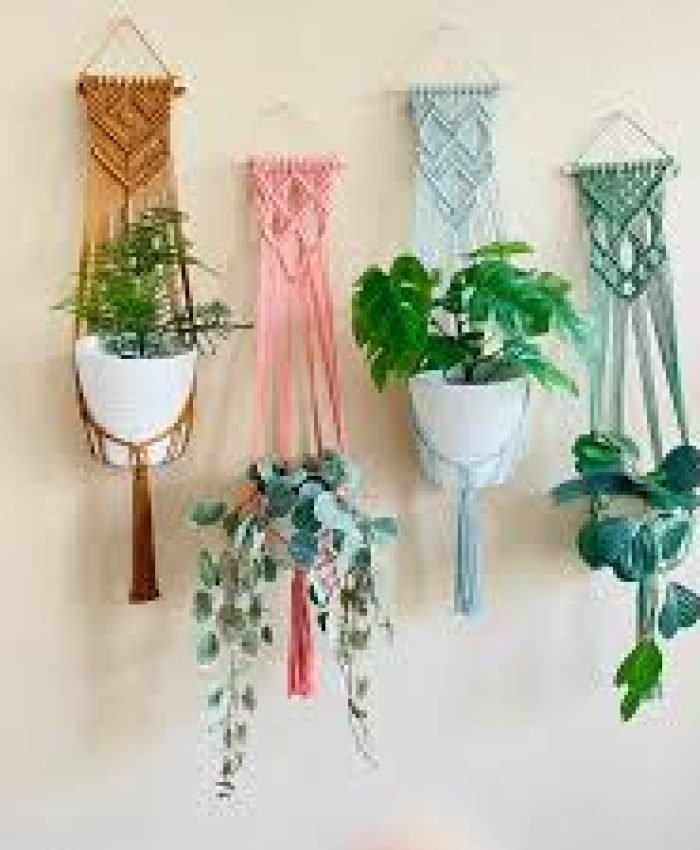 DIY Living Wall Ideas