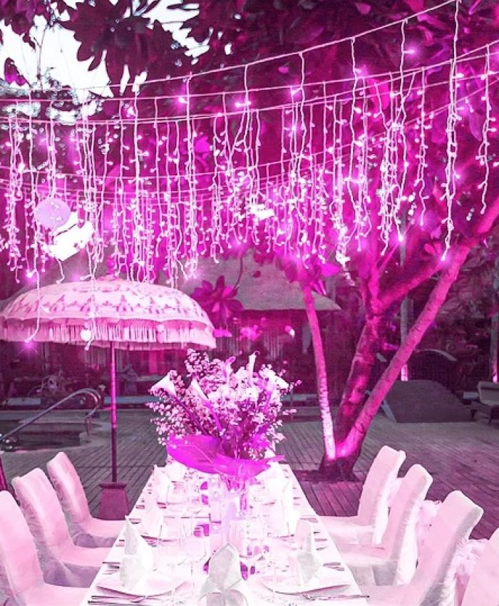 Pink Winter Wonderland Baby Shower Ideas