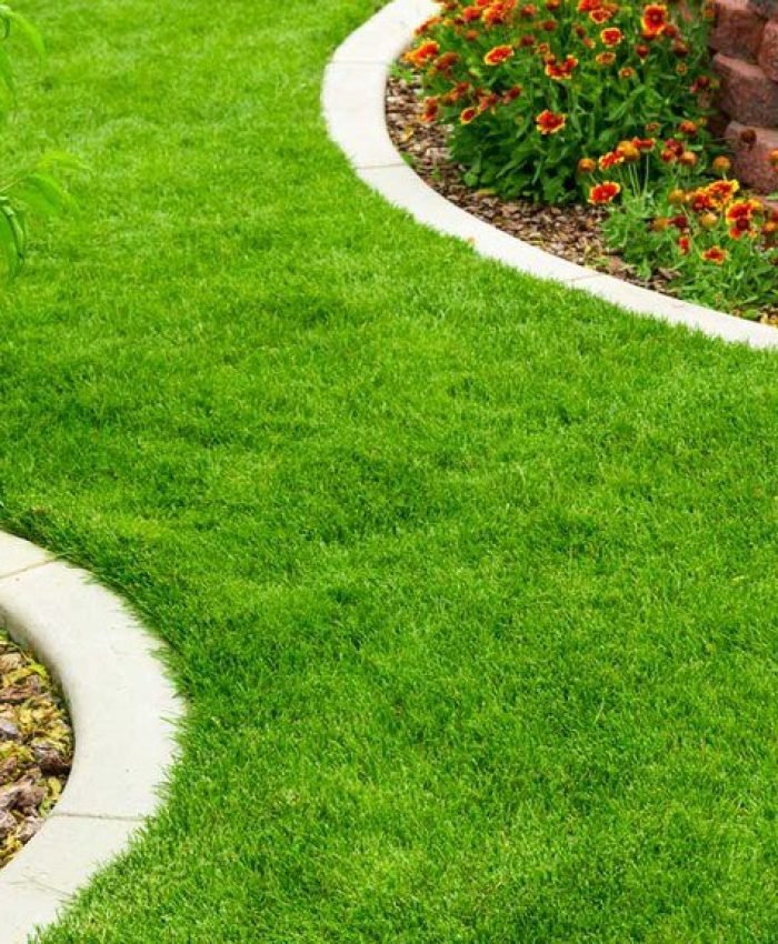 Garden Edging Ideas