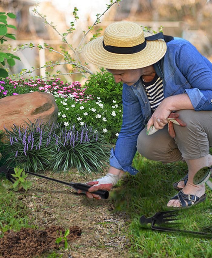 Ways To Get Rid Of Weeds And Grass In Flower Beds