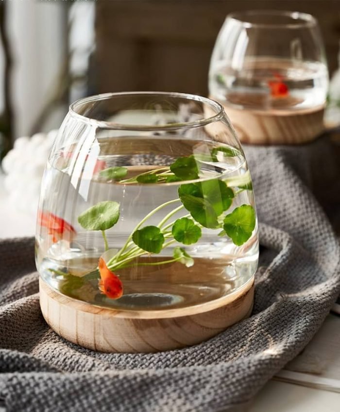Fish Tank Terrarium Ideas