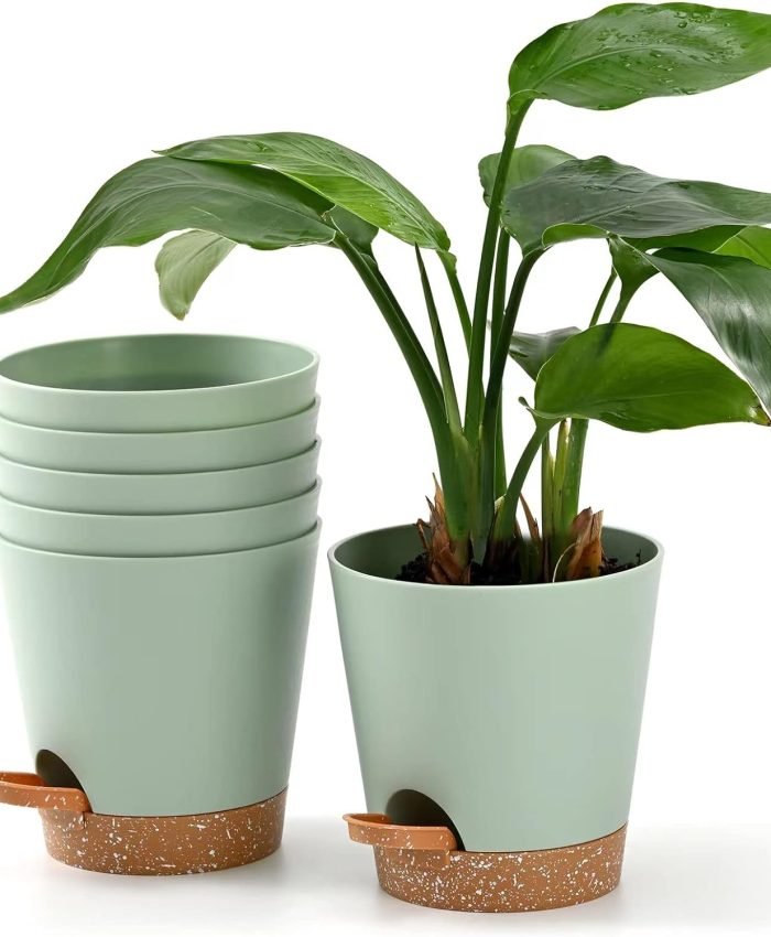 Container Garden Planting Ideas