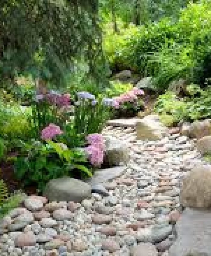 Xeriscaping Ideas on a Budget