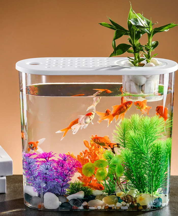 Creative Aquaponic Gardening Ideas