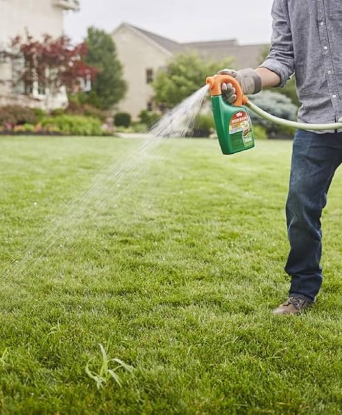 Best Crabgrass Killer And Preventers