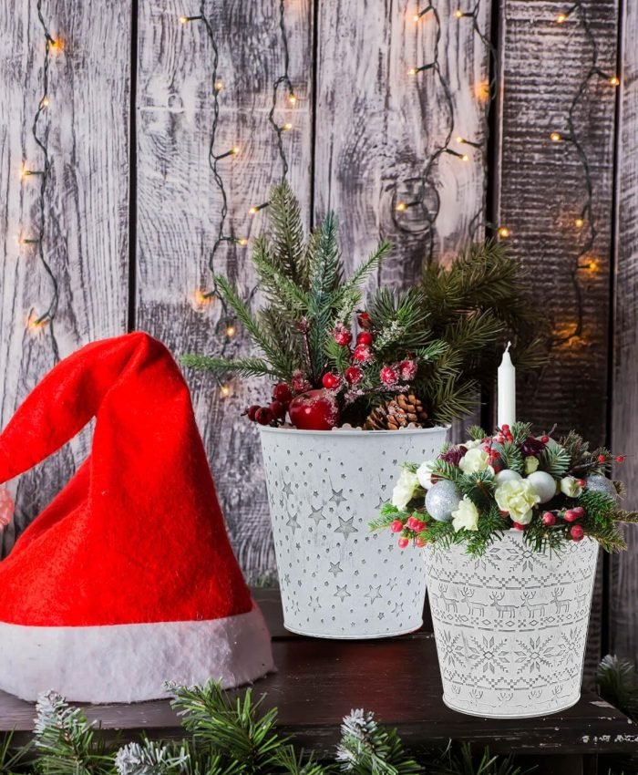 Winter Planter Ideas