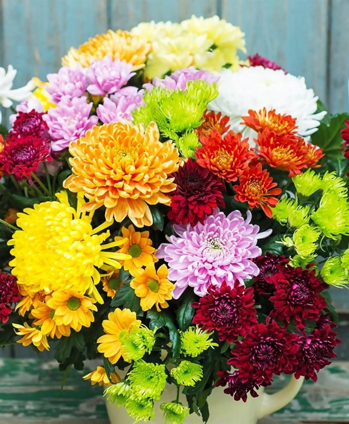 Fall Container Plants