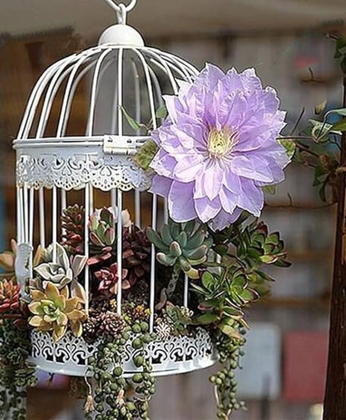 Stylish Hanging Planter Ideas