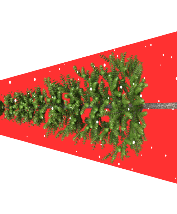 Free Christmas Gift Card Tags Printables