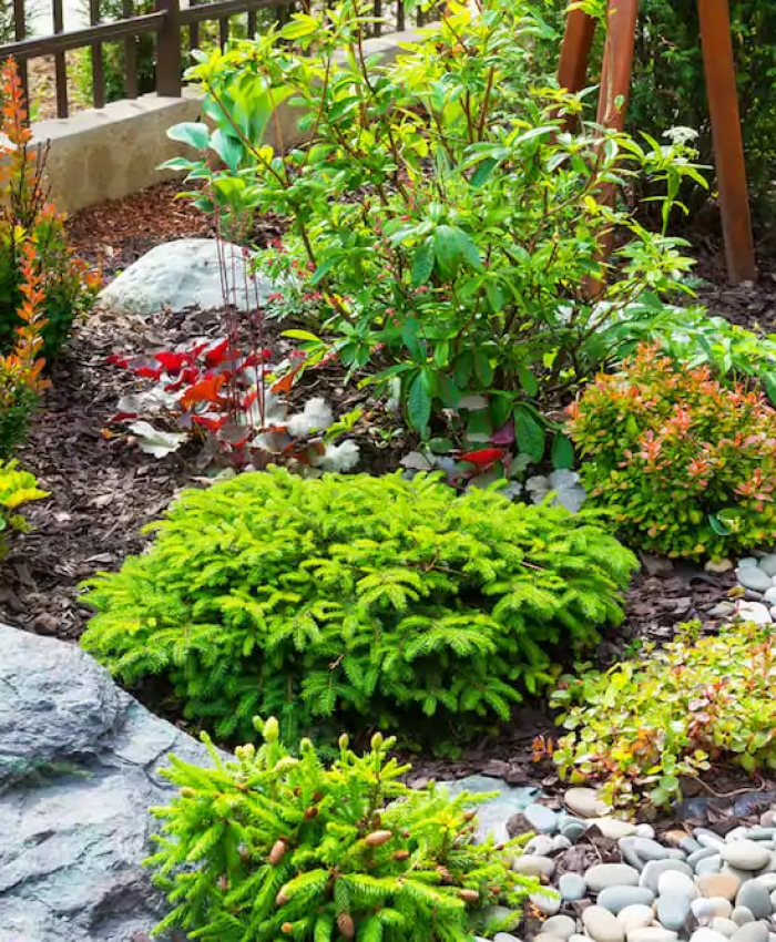 Easy Ways To Safely Get Rid Of Weeds In Rock Beds Naturally