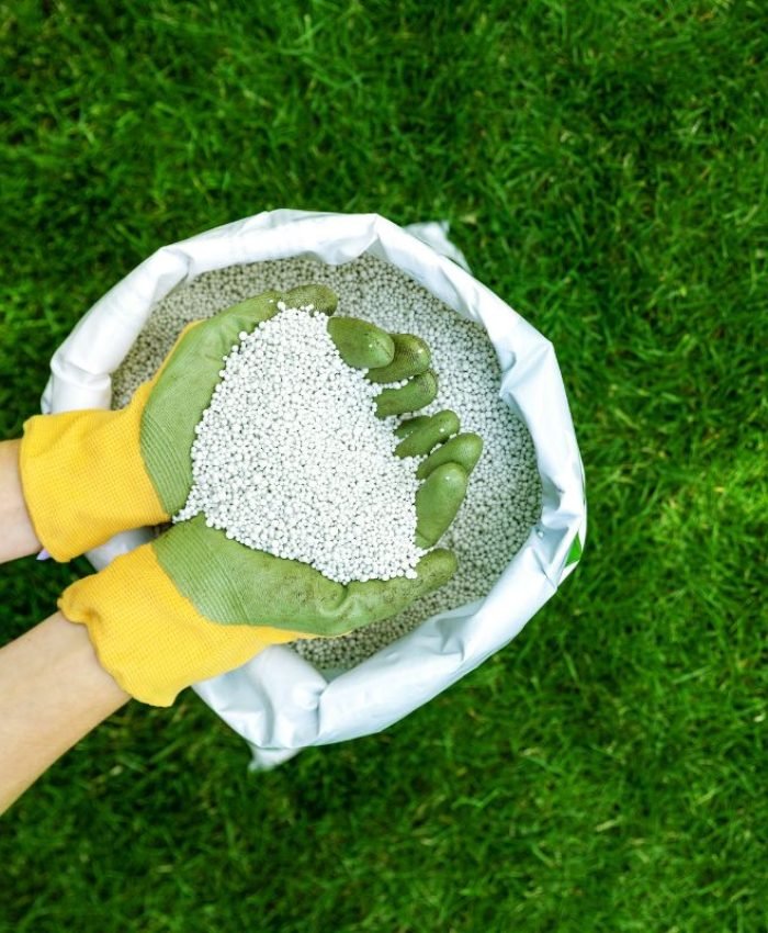 When To Add Lime To Your Lawn: Timing Is Everything