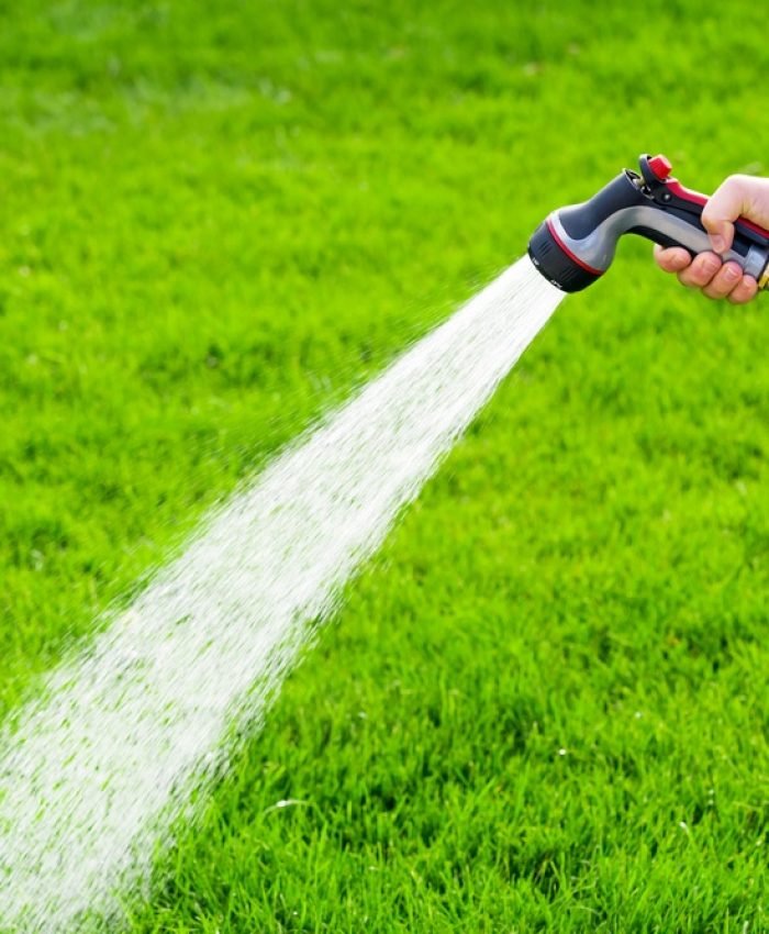 How To Make A Lawn Green And Thick