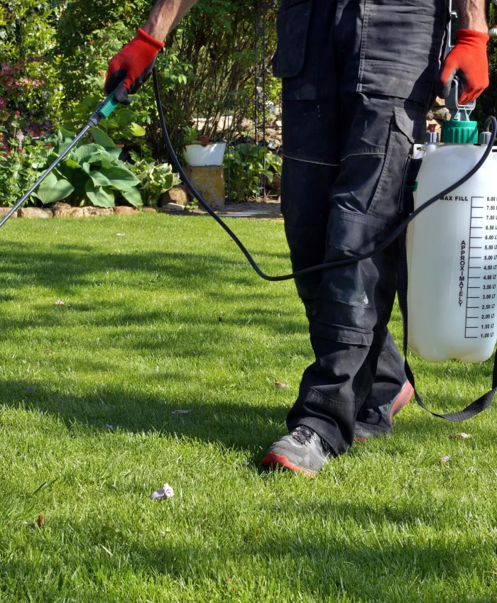 What Kills Weeds Down to the Root Overnight?