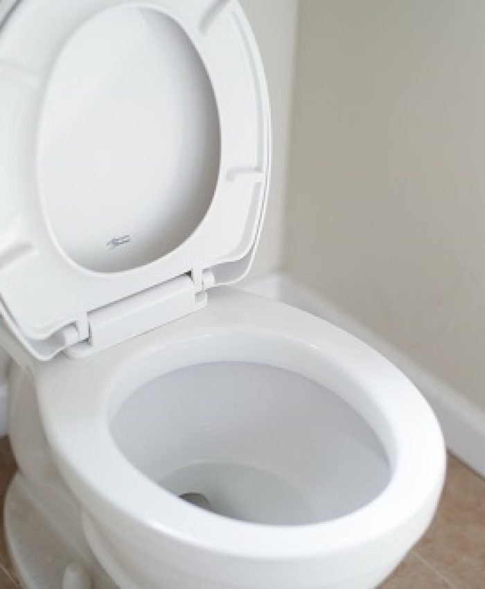 Inner Thigh Dirt on Toilet Seat
