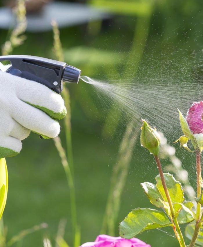 How To Make A Natural Rabbit Repellent Spray